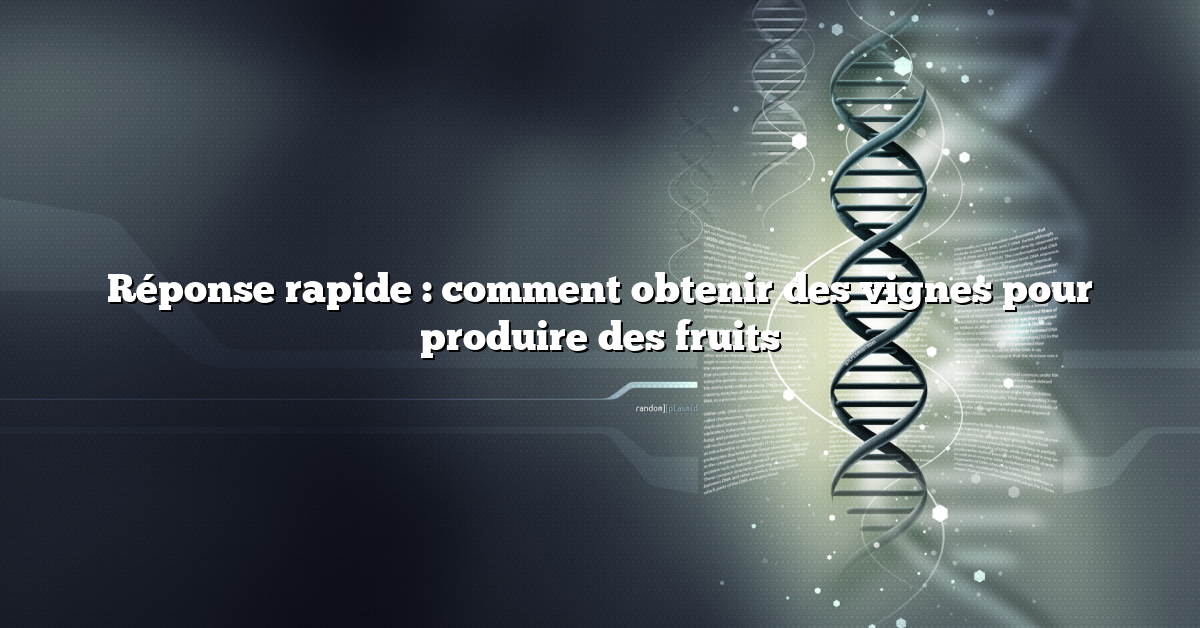 Réponse rapide : comment obtenir des vignes pour produire des fruits